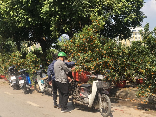Thời tiết thuận lợi, người dân Hà Nội tấp nập đổ ra đường mua sắm ngày 29 Tết - Ảnh 3