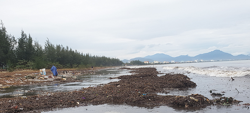 Ảnh: Lượng rác khổng lồ tấp vào bãi biển Đà Nẵng sau bão Vamco - Ảnh 1