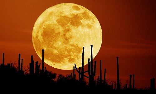 Quan sát hiện tượng mặt trăng đến gần trái đất nhất trong 68 năm qua - Ảnh 1