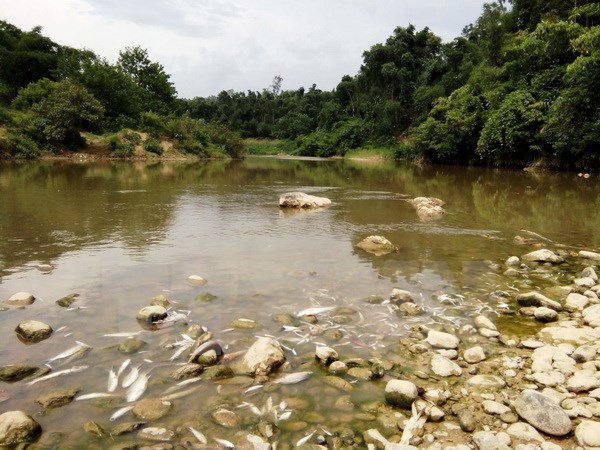 Công bố nguyên nhân cá chết dài 10 cây số trên sông Âm - Ảnh 1