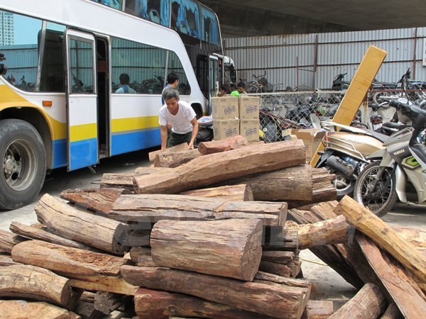 Bắt xe chở gỗ lậu “ngụy trang” xe đưa tang trên quốc lộ 1A - Ảnh 1