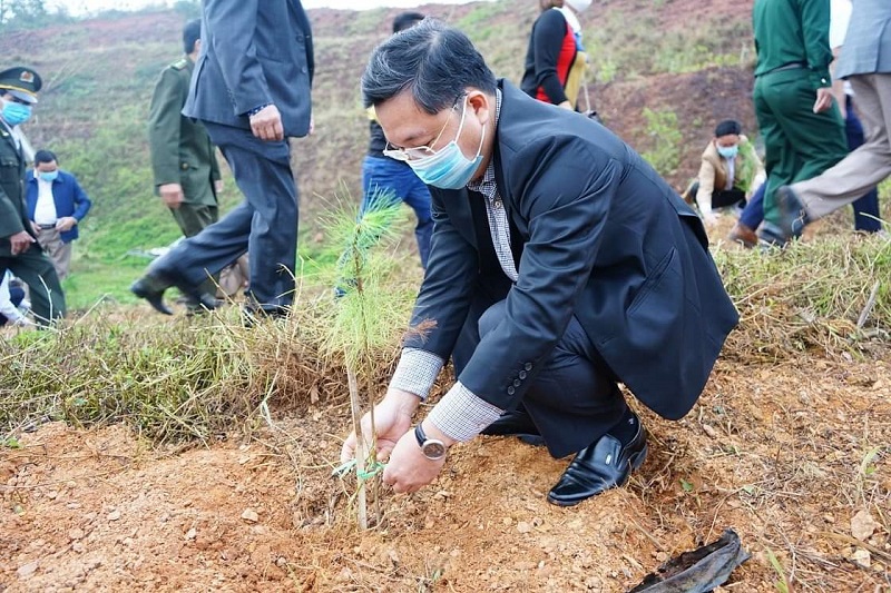 Quảng Nam tổ chức Tết trồng cây Xuân Tân Sửu 2021 - Ảnh 2
