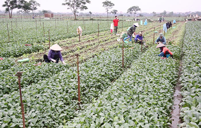 Báo Kinh tế & Đô thị: Tin tức tổng hợp hấp dẫn nhất trên số báo in ngày 19/11 - Ảnh 15