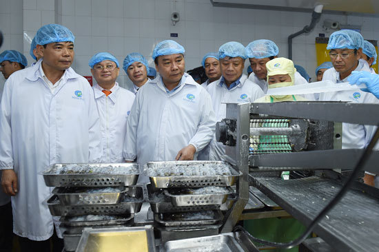 Thủ tướng thăm cơ sở sản xuất tôm có “giấc mơ” 2 tỷ USD - Ảnh 1