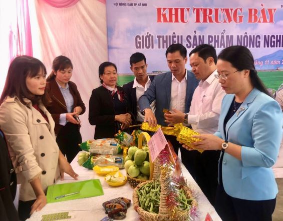 Khẳng định vai trò của nông dân Hà Nội trong xây dựng nông thôn mới - Ảnh 3