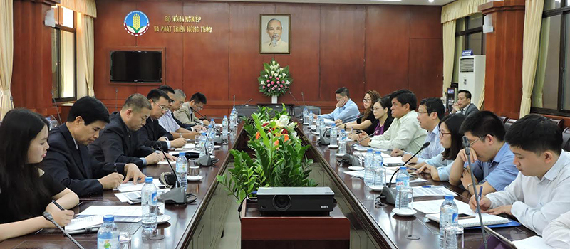 Trung Quốc bắt đầu kiểm tra 31 doanh nghiệp xuất khẩu gạo Việt Nam - Ảnh 1