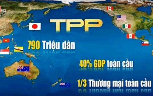 Liệu có thể hồi sinh Hiệp định TPP? - Ảnh 1