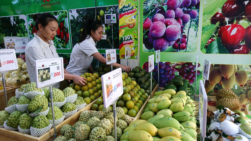 Triển khai đề án quản lý kinh doanh trái cây tại quận Hà Đông: Vẫn nhiều rào cản - Ảnh 1