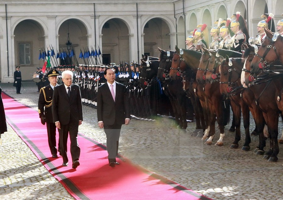 Chủ tịch nước Trần Đại Quang hội đàm với Tổng thống Italy - Ảnh 1