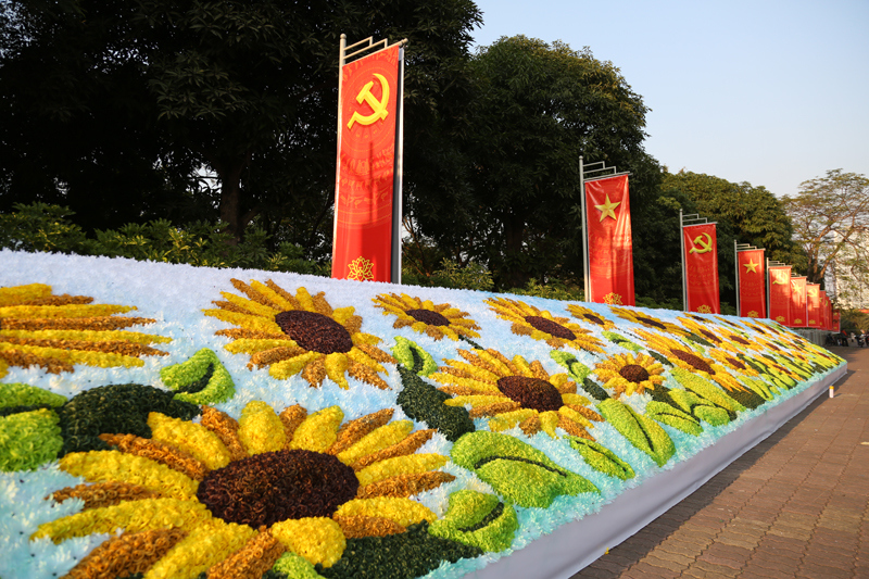 Hà Nội rực rỡ cờ hoa chào mừng Đại hội XIII của Đảng - Ảnh 14
