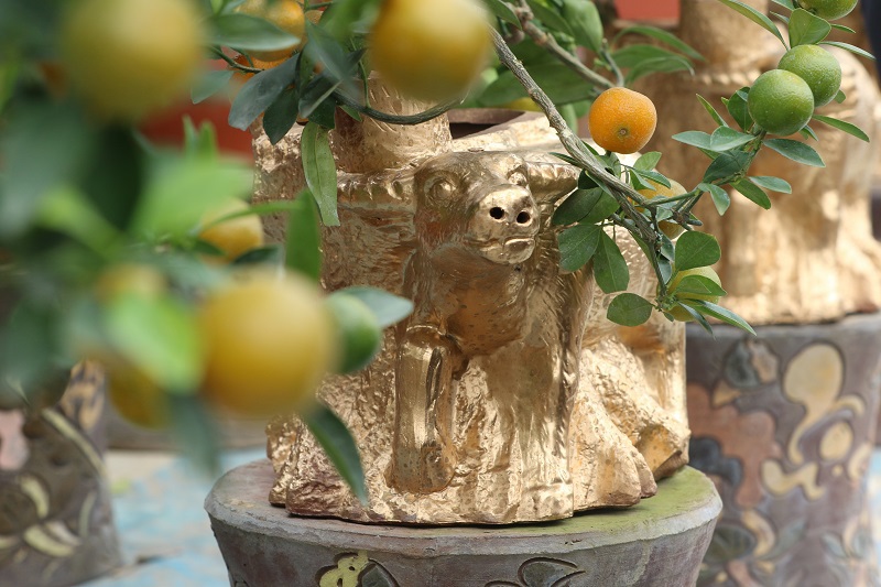 Trâu vàng cõng quất bonsai sẵn sàng cho dịp Tết Tân Sửu 2021 - Ảnh 7