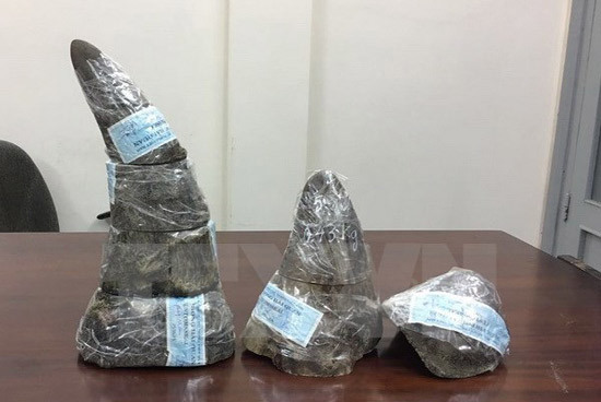 TP Hồ Chí Minh thu giữ 5kg sừng tê giác quý hiếm hơn 6 tỷ đồng - Ảnh 1