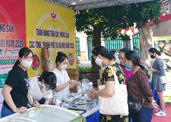 Tuần hàng trái cây và nông sản thúc đẩy tiêu dùng hàng Việt - Ảnh 2