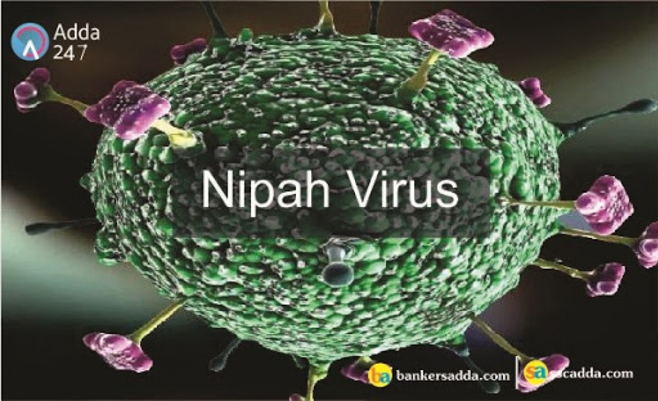 WHO: Virus Nipah có thể gây ra đại dịch tiếp theo - Ảnh 1
