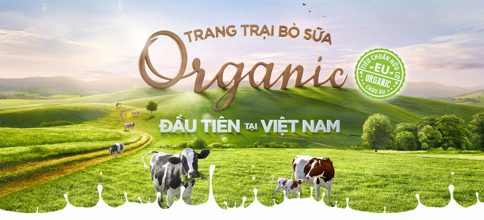 Cận cảnh trang trại bò sữa organic tiêu chuẩn châu Âu đầu tiên tại Việt Nam - Ảnh 1