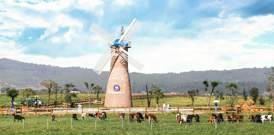 Cận cảnh trang trại bò sữa organic tiêu chuẩn châu Âu đầu tiên tại Việt Nam - Ảnh 11