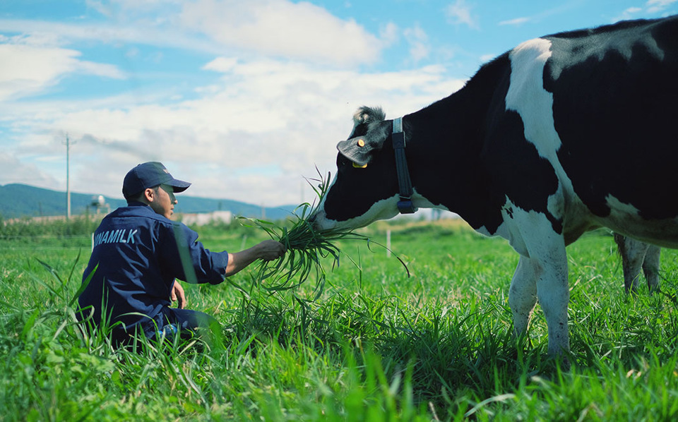 Cận cảnh trang trại bò sữa organic tiêu chuẩn châu Âu đầu tiên tại Việt Nam - Ảnh 9