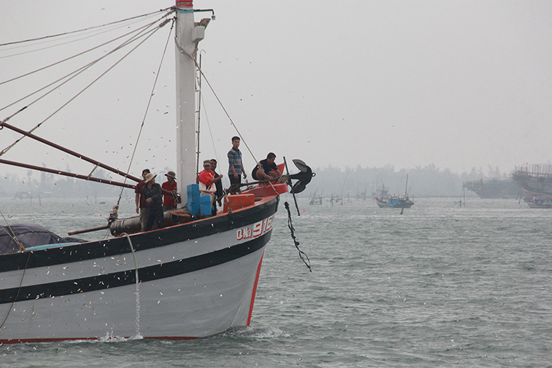 Ngư dân Quảng Nam vươn khơi, “bỏ” Tết giữ biển - Ảnh 3
