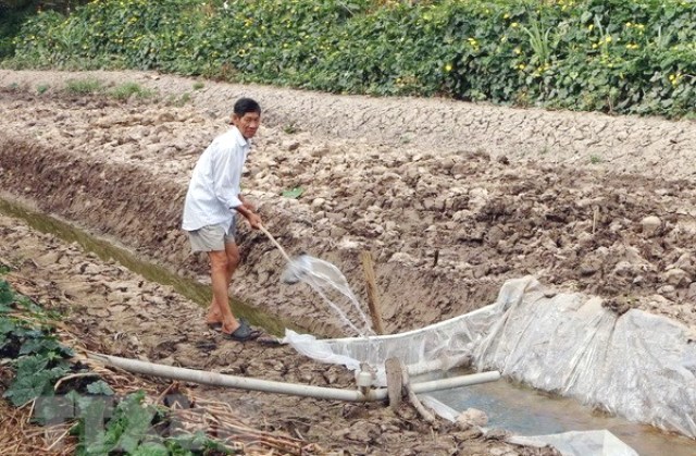 Xâm nhập mặn đe dọa nhu cầu nguồn nước tại khu vực Nam Bộ - Ảnh 1