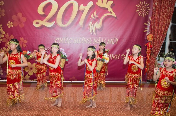 Đại sứ quán Việt Nam ở Hoa Kỳ tổ chức mừng Xuân cùng cộng đồng - Ảnh 3