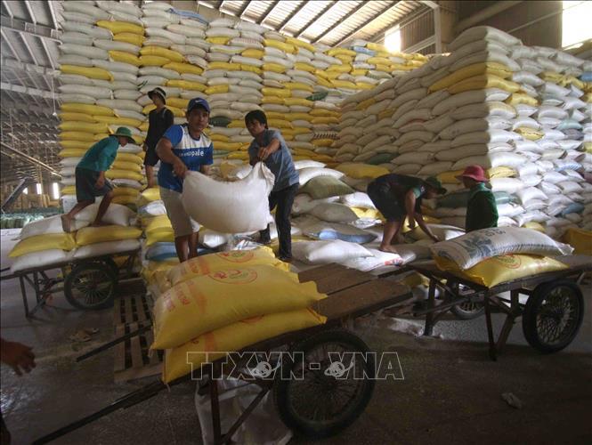 Giá gạo Việt Nam giao dịch ở mức cao nhất trong 9 năm - Ảnh 1