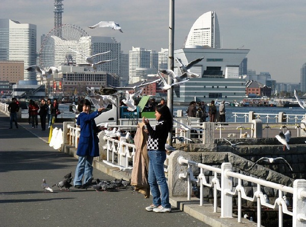 3 mô hình phát triển đô thị đáng học của Nhật Bản - Ảnh 3