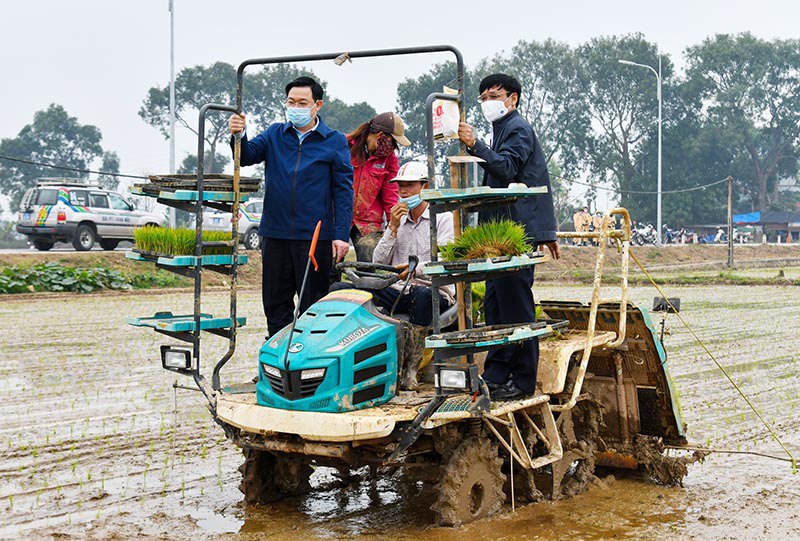Lãnh đạo thành phố Hà Nội xuống đồng động viên bà con nông dân sản xuất vụ xuân - Ảnh 1