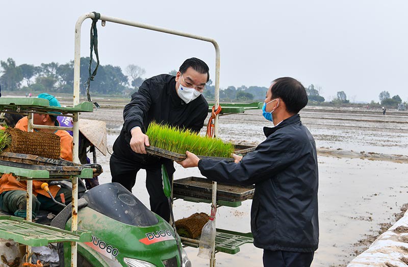 Lãnh đạo thành phố Hà Nội xuống đồng động viên bà con nông dân sản xuất vụ xuân - Ảnh 2