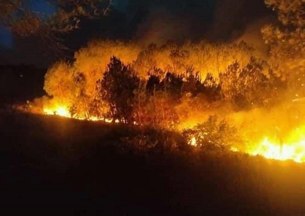Nghệ An: Cả ngàn người chiến đấu với giặc lửa cứu rừng - Ảnh 2