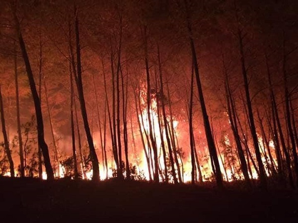 Nghệ An: Cả ngàn người chiến đấu với giặc lửa cứu rừng - Ảnh 1