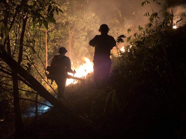 Hà Tĩnh: Xuyên đêm dập lửa cứu rừng - Ảnh 4