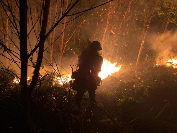 Hà Tĩnh: Xuyên đêm dập lửa cứu rừng - Ảnh 5