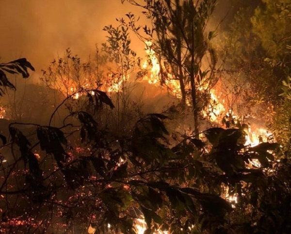 Hà Tĩnh: Xuyên đêm dập lửa cứu rừng - Ảnh 2