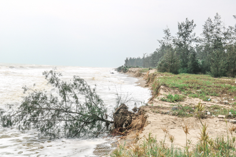 Hà Tĩnh: Mưa lớn khiến nhiều tuyến đường, bờ biển bị sạt lở nghiêm trọng - Ảnh 4