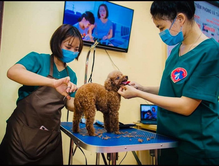 Mục sở thị Bệnh viện dành cho thú cưng lớn nhất Việt Nam - Ảnh 10