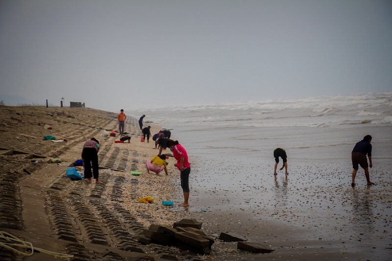 Hà Tĩnh: Người dân hối hả nhặt “lộc biển” trước khi bão đổ bộ - Ảnh 3