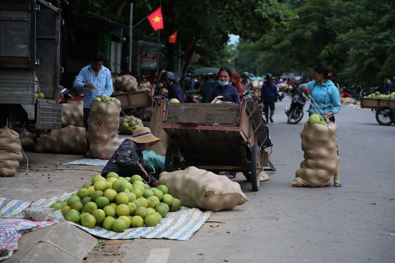 Hà Tĩnh: Chợ đêm bán trái cây "gây nghiện” - Ảnh 1