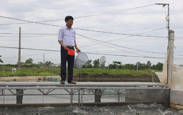 Huyện Ứng Hòa: Thay nguồn nước cho vùng chuyên canh thủy sản - Ảnh 1