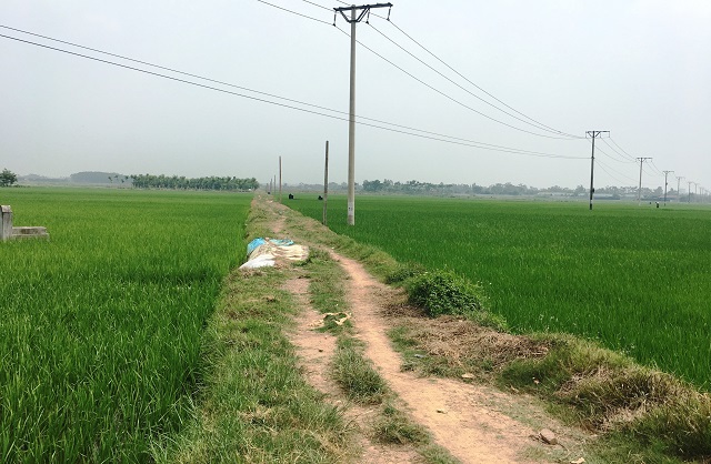 Xã Tam Đồng, huyện Mê Linh: Thiếu kinh phí nâng cấp giao thông nội đồng - Ảnh 1