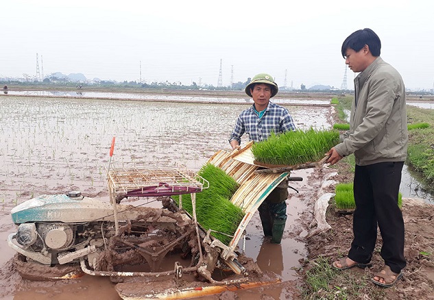 Ứng dụng cơ giới hóa trong nông nghiệp: Giảm chi phí, tăng lợi nhuận - Ảnh 1