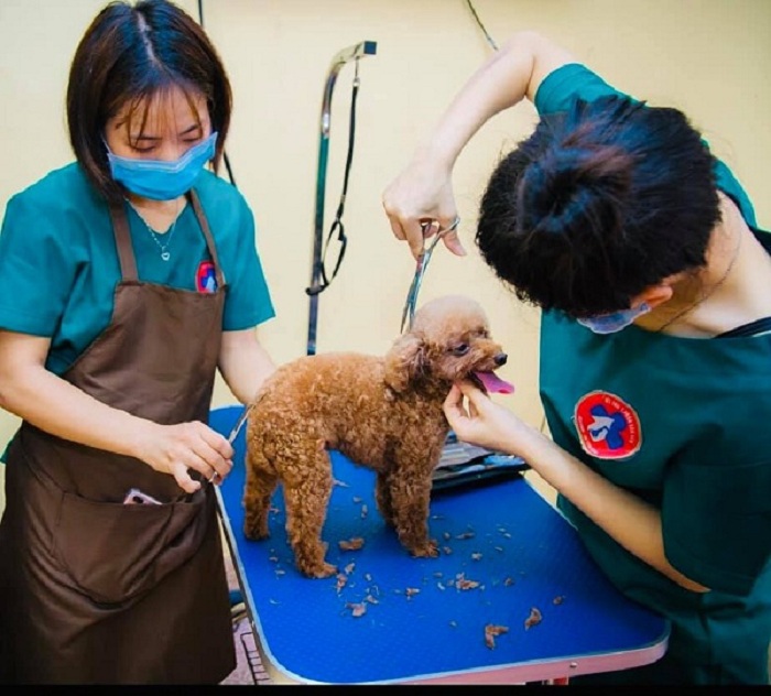 Mục sở thị Bệnh viện dành cho thú cưng lớn nhất Việt Nam - Ảnh 9