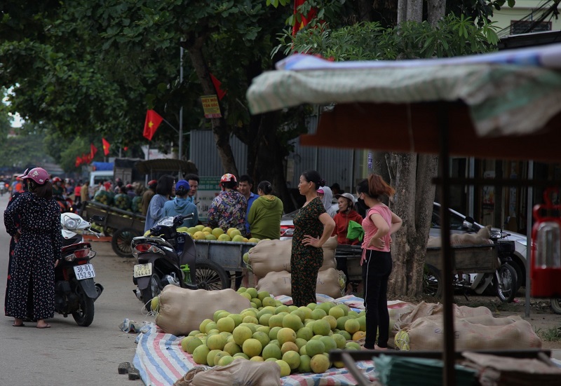 Hà Tĩnh: Chợ đêm bán trái cây "gây nghiện” - Ảnh 2
