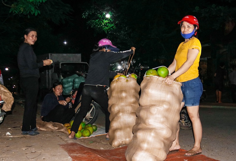 Hà Tĩnh: Chợ đêm bán trái cây "gây nghiện” - Ảnh 6