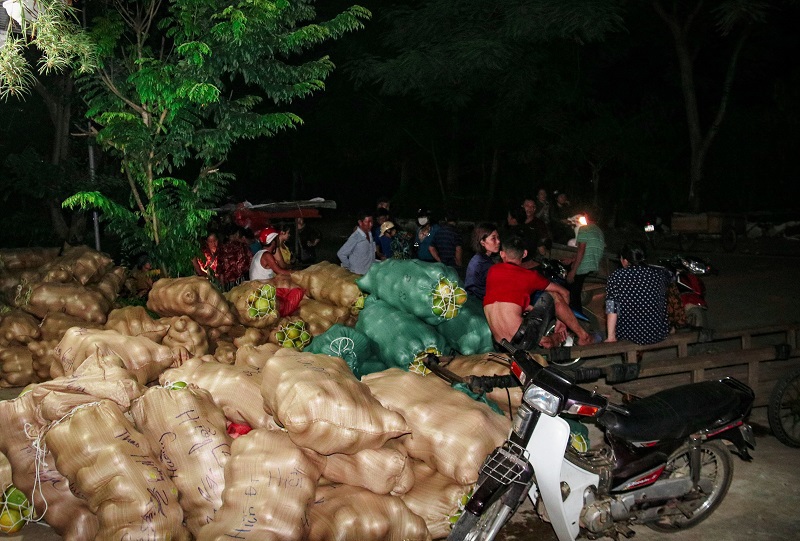 Hà Tĩnh: Chợ đêm bán trái cây "gây nghiện” - Ảnh 7