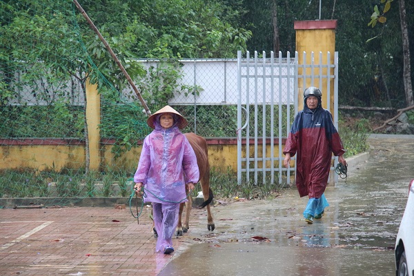 Hà Tĩnh: Xuyên đêm đội mưa đắp đê, chống lũ - Ảnh 3