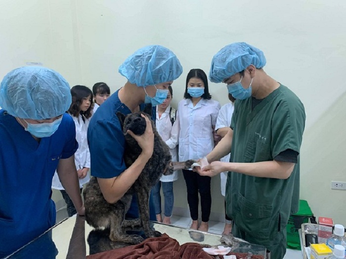 Mục sở thị Bệnh viện dành cho thú cưng lớn nhất Việt Nam - Ảnh 5