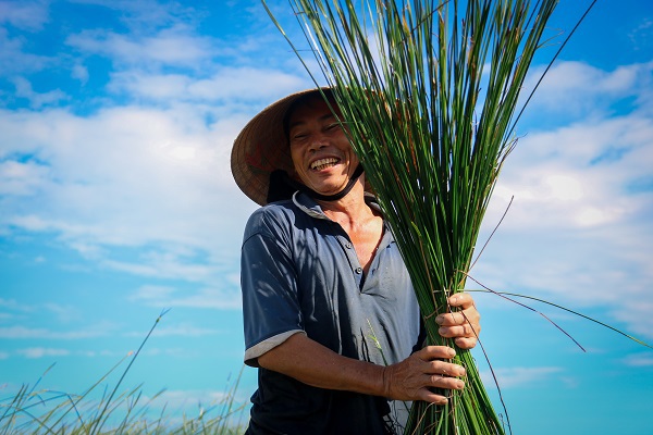 Hà Tĩnh: Người dân giữa “Ốc đảo” Hồng Lam, rộn ràng vào mùa thu hoạch cói - Ảnh 6