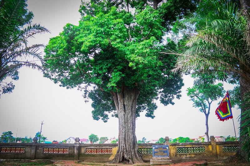 Khu lưu niệm Nguyễn Du - Nơi lưu giữ cuộc đời, sự nghiệp một Đại thi hào - Ảnh 15