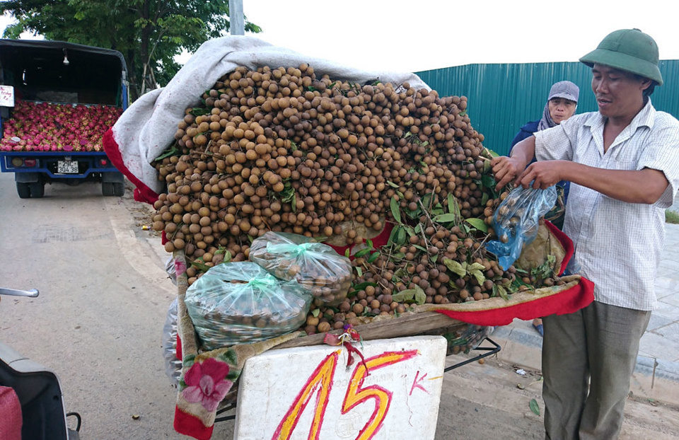 Thanh long giá rẻ tràn về Hà Nội, trong siêu thị giá vẫn cao ngất ngưởng - Ảnh 4