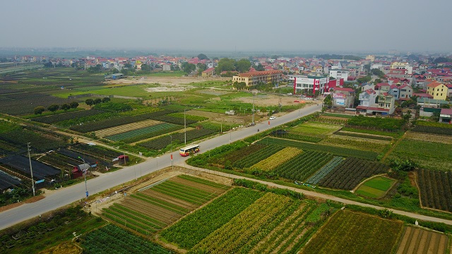 Quy hoạch không gian nông nghiệp đô thị: Lời giải từ vành đai xanh - Ảnh 1